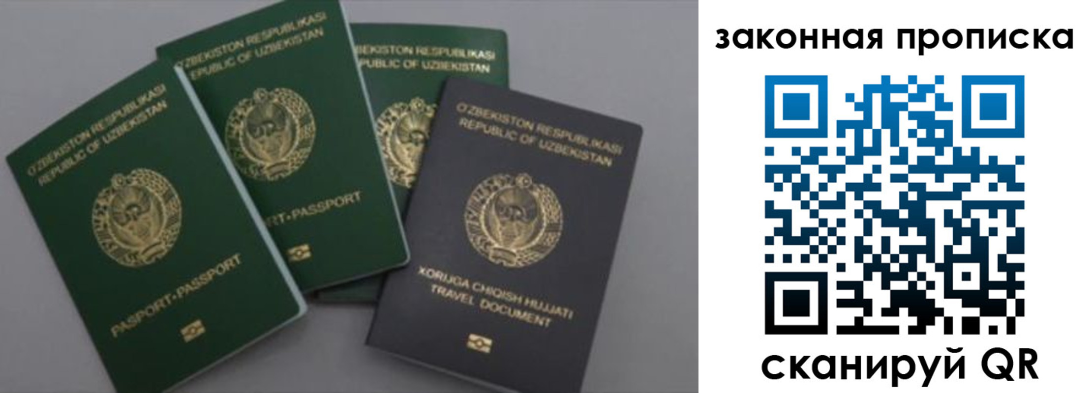 прописка законно в Благодарном